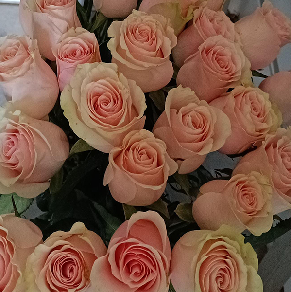 Rosas - color a elección